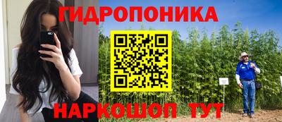 spice Вышний Волочёк
