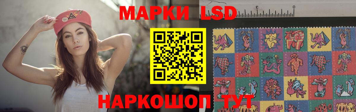 Новоалександровск  ЛСД экстази ecstasy  MEGA ТОР  ЛСД экстази кислота  Вход с VPN 
