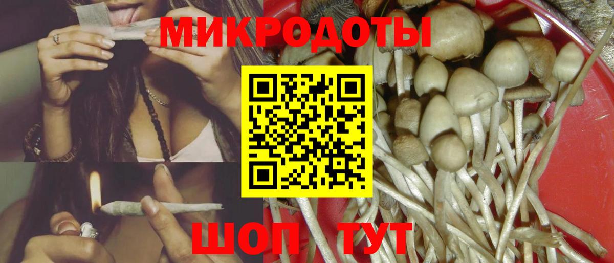 Псилоцибиновые грибы MAGIC MUSHROOMS  Вход с VPN  Галлюциногенные грибы Psilocybine cubensis  Новоалександровск 